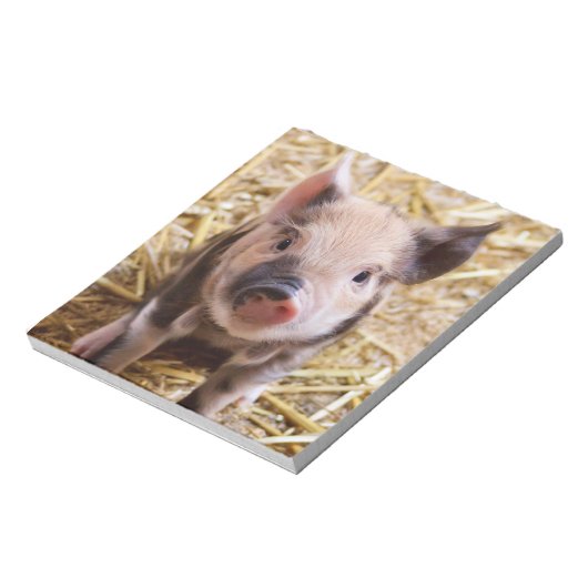 Bloc-note Piglet mignon (Tourné)