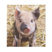 Bloc-note Piglet mignon (Devant)