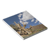 Bloc-note Pin Bristlecone dans l'Ancient Bristlecone Forest, (Incliné)
