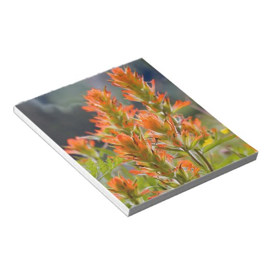 Bloc-note Pinceau indien (Incliné)