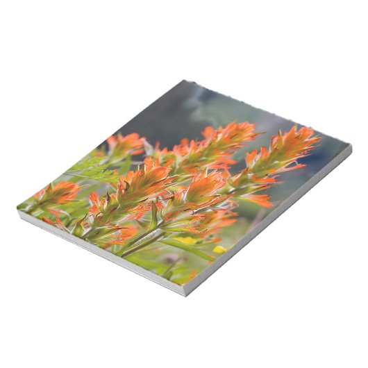 Bloc-note Pinceau indien (Tourné)