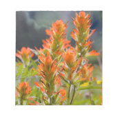 Bloc-note Pinceau indien (Devant)