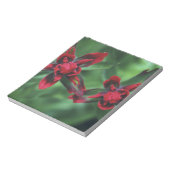 Bloc-note Pinceau indien, Banff NP, Alberta, Canada 2 (Tourné)