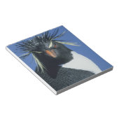 Bloc-note Pingouin de Rockhopper (Eudyptes chrysocome) (Incliné)