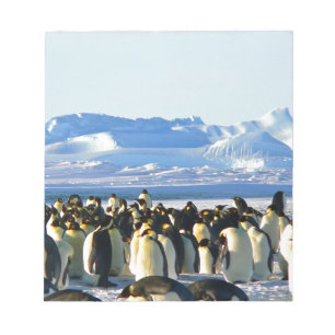 Bloc-note Pingouins empereurs