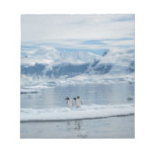 Bloc-note Pingouins sur un iceberg (Devant)