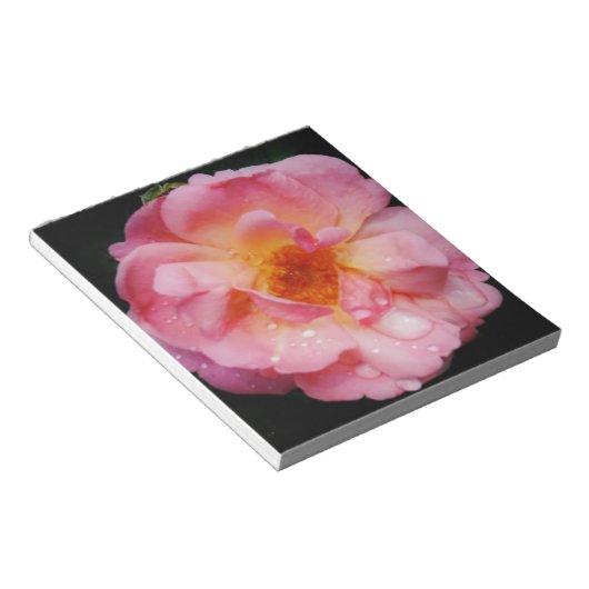 Bloc-note Pink Rose w/ Dew Drops Black Background (Incliné)