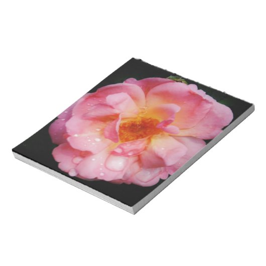 Bloc-note Pink Rose w/ Dew Drops Black Background (Tourné)