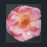 Bloc-note Pink Rose w/ Dew Drops Black Background<br><div class="desc">Rose rose avec gouttes de pluie Arrière - plan noir Apportez la beauté de la nature à toutes les occasions spéciales avec cette Rose rose populaire, Parfait pour les fiançailles mariage, fêtes de mariée, anniversaires, anniversaires, fêtes de jardin Ajouter un texte sur Produits. Tout est entièrement personnalisable. Pour ajouter/modifier le...</div>