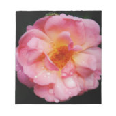 Bloc-note Pink Rose w/ Dew Drops Black Background (Devant)