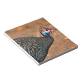 Bloc-note Pintade à casque (Numida meleagris). Afrique, (Incliné)