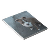 Bloc-note Pitbulbe blanc et gris sur béton (Incliné)