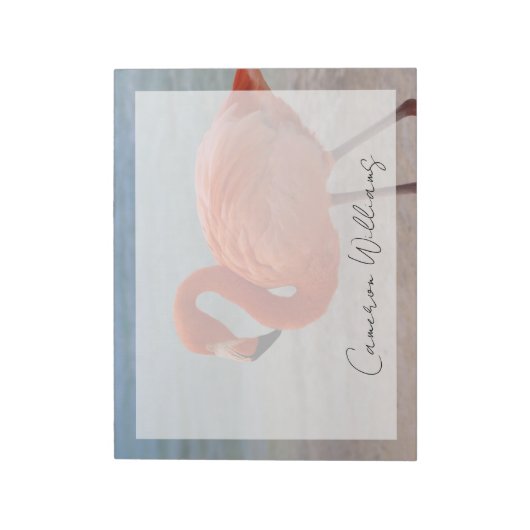 Bloc-note Plages tropicales | Flamant rose des Caraïbes, Aru (Tourné)