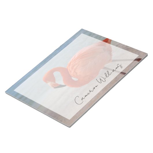 Bloc-note Plages tropicales | Flamant rose des Caraïbes, Aru (Incliné)