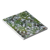 Bloc-note Plante grasse Hen & Chicks avec gelée au début (Incliné)