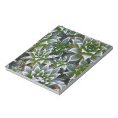 Bloc-note Plante grasse Hen & Chicks avec gelée au début (Tourné)