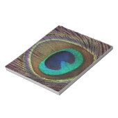 Bloc-note plumes de paon (Tourné)