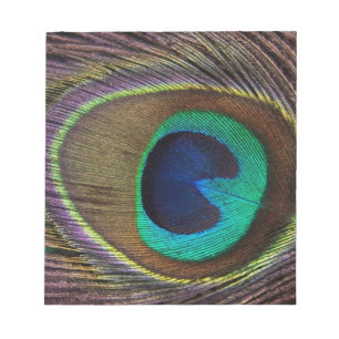 Bloc-note plumes de paon