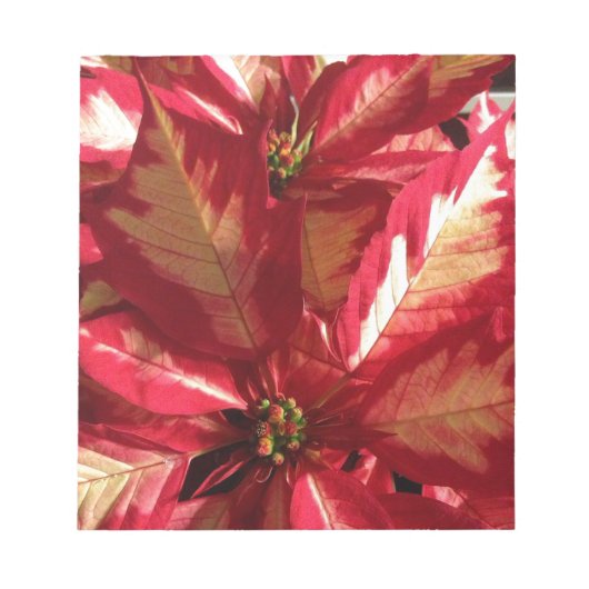 Bloc-note Poinsettia rose (Devant)