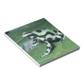 Bloc-note Poison Dart Frog, (Dendrobates auratus) Cahuita (Incliné)