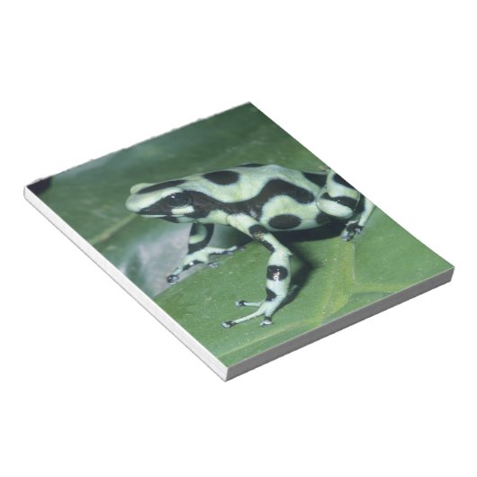 Bloc-note Poison Dart Frog, (Dendrobates auratus) Cahuita (Incliné)