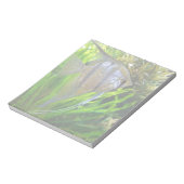 Bloc-note Poisson Angel (Tourné)