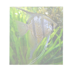 Bloc-note Poisson Angel