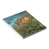 Bloc-note Poisson-clown occidental (Amphiprion ocellaris) (Incliné)