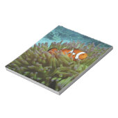 Bloc-note Poisson-clown occidental (Amphiprion ocellaris) (Tourné)