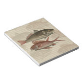 Bloc-note Poisson Perche Rouge Pêcheur d'Art (Incliné)