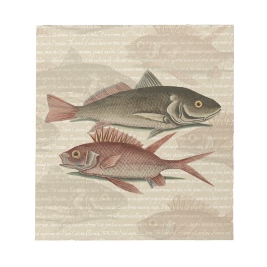 Bloc-note Poisson Perche Rouge Pêcheur d'Art (Devant)