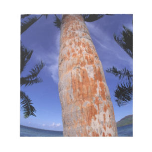 Bloc-note Polynésie française, Bora Bora, Palmiers