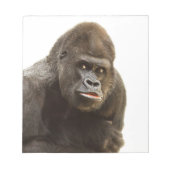 Bloc-note Pomme de Gorille (Devant)