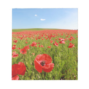 Bloc-note Poppy field