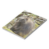 Bloc-note Porcupine déterminé (Tourné)