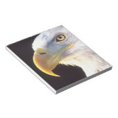 Bloc-note Portrait d'aigle royal, Haliaeetus leucocephalus, (Incliné)