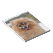 Bloc-note Portrait de chien Pomeranian (Incliné)