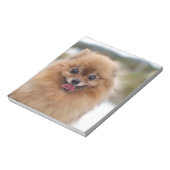 Bloc-note Portrait de chien Pomeranian (Tourné)
