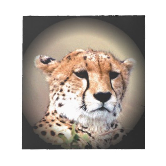 Bloc-note Portrait de guépard au clair de lune : la grâce de (Devant)