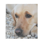 Bloc-note Portrait de laboratoire (Devant)