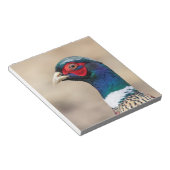 Bloc-note Portrait d'un faisan (Incliné)