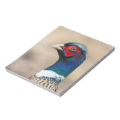Bloc-note Portrait d'un faisan (Tourné)