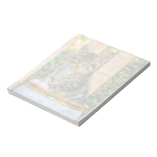 Bloc-note Pot De Bébé Kitten (Tourné)