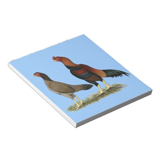Bloc-note Poulets à roue d'Aseel (Incliné)