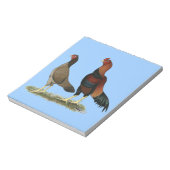 Bloc-note Poulets à roue d'Aseel (Tourné)