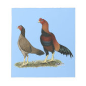 Bloc-note Poulets à roue d'Aseel (Devant)