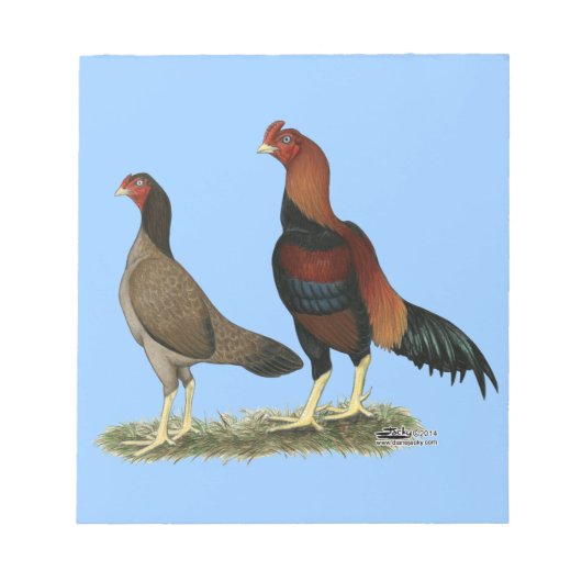Bloc-note Poulets à roue d'Aseel (Devant)