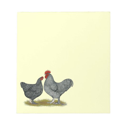 Bloc-note Poulets de Maline (Devant)