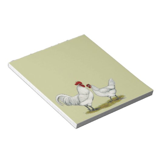 Bloc-note Poulets de pieds bleus (Incliné)