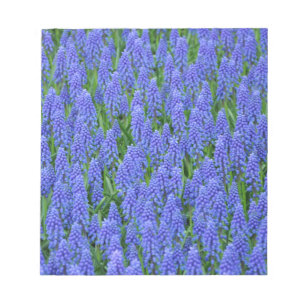Bloc-note Pretty blue muscari flowers